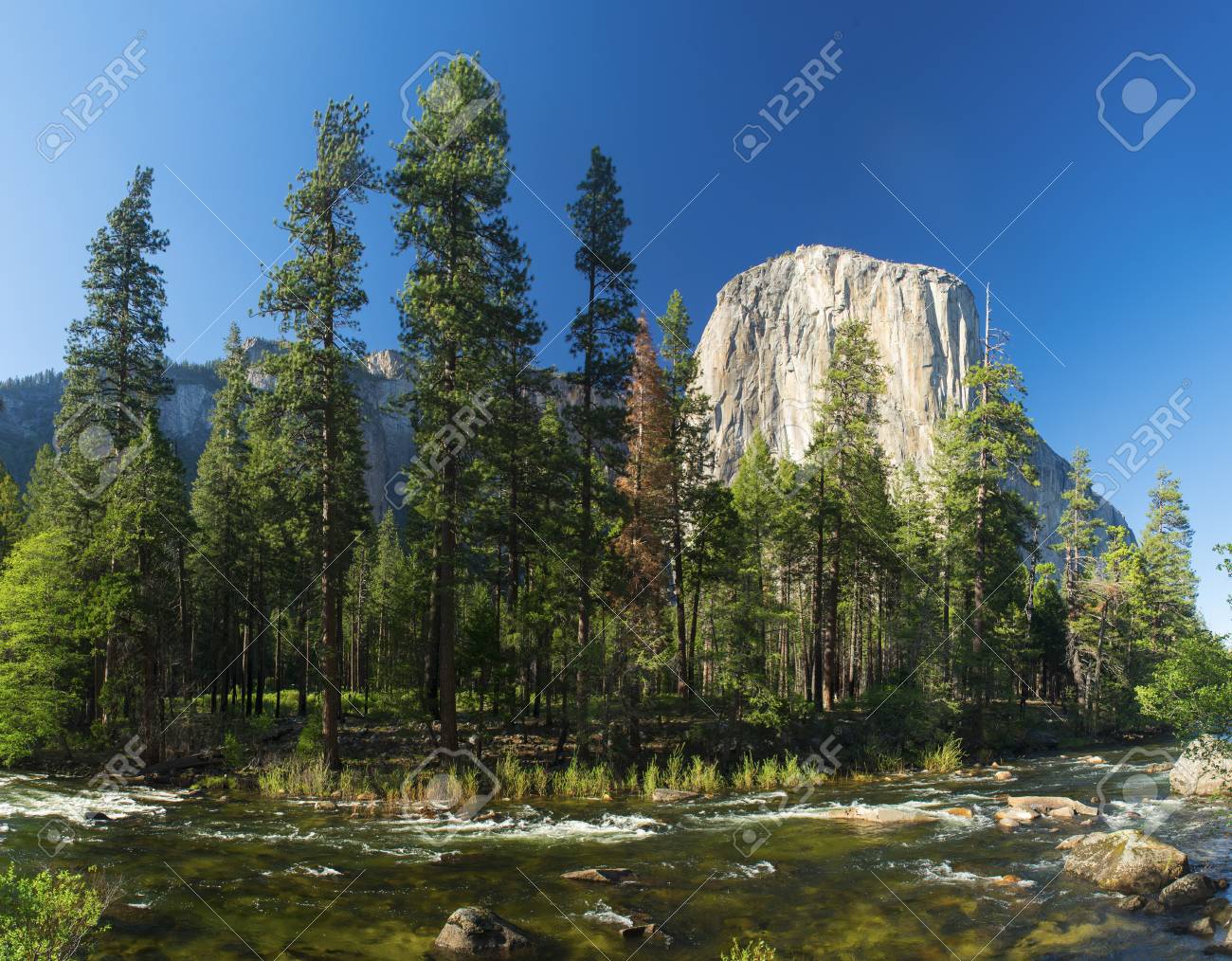 マーセド川 ヨセミテ国立公園 アメリカ合衆国ヨセミテ渓谷から見たエル キャピタン花崗岩の岩 の写真素材 画像素材 Image