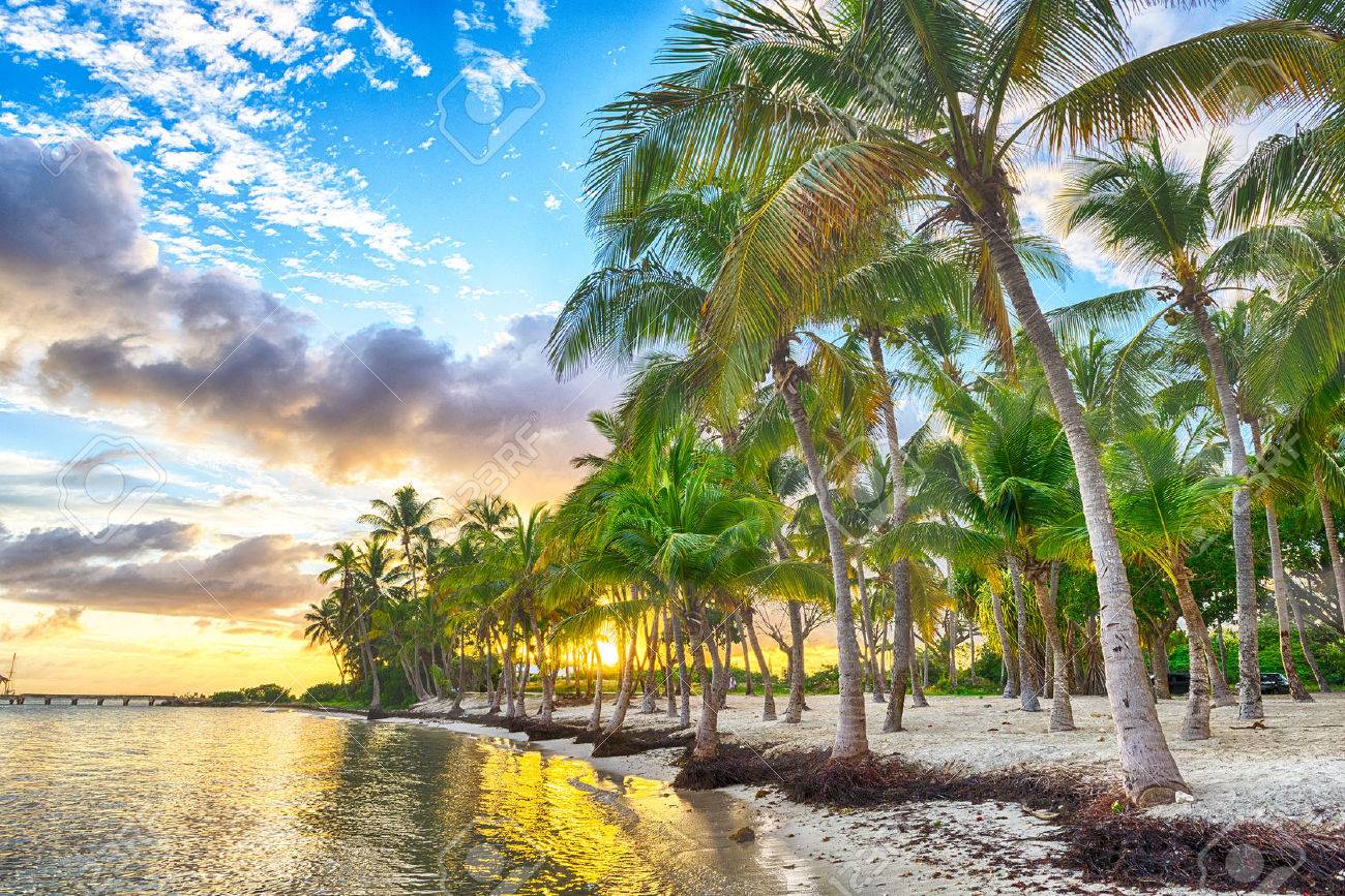 Sunset Over Anse Champagne Beach In Saint Francois Guadeloupe