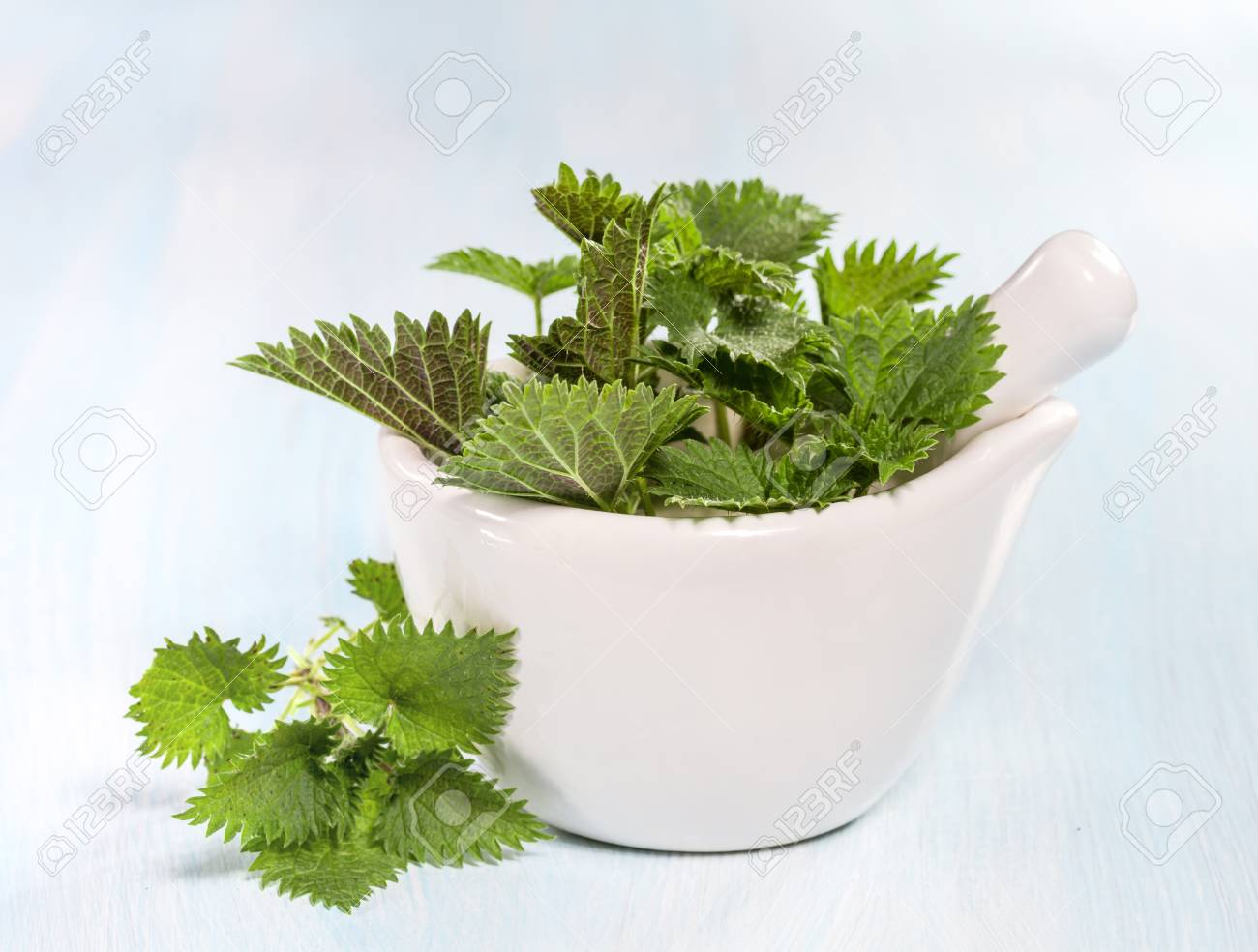 Fresh nettle leaves on a wooden table - 26620510 Fresh nettle leaves on a wooden table - 26620510