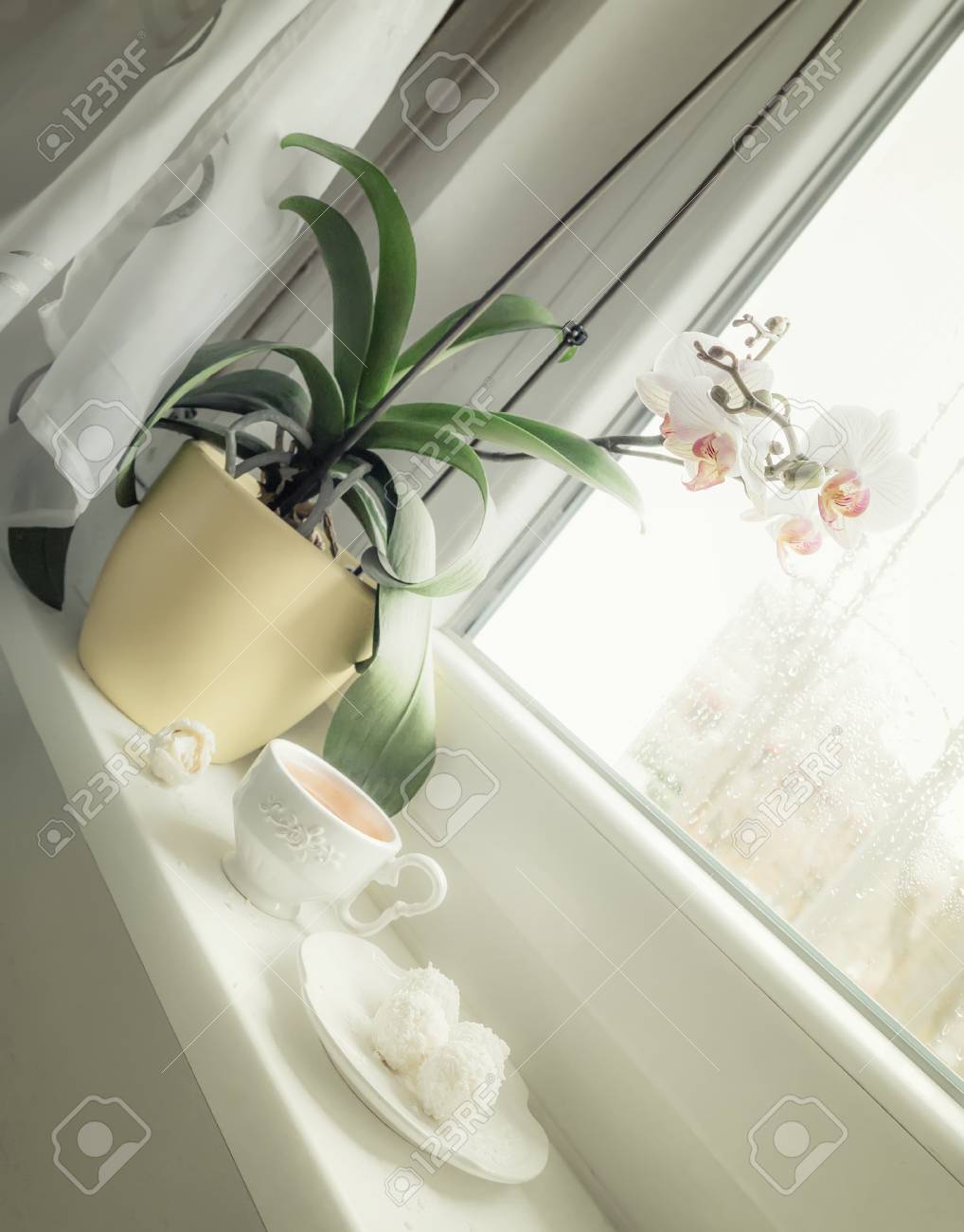 Cup Of Tea And Candy On A Rainy Day In Front Of The Wet City Stock Photo Picture And Royalty Free Image Image