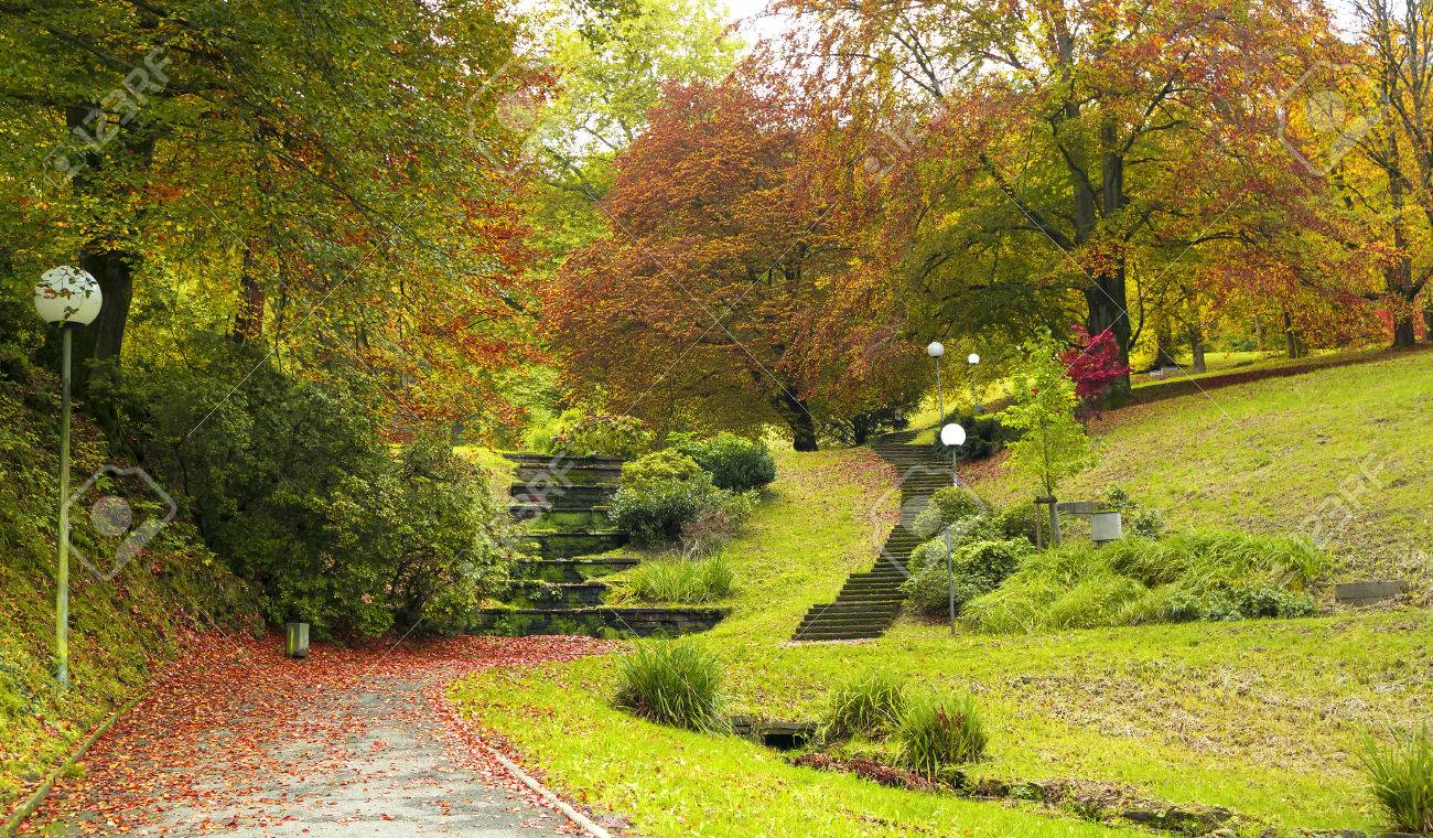 美しい秋の風景 バーデン バーデン ドイツ の写真素材 画像素材 Image 美しい秋の風景 バーデン バーデン ドイツ の写真素材 画像素材 Image