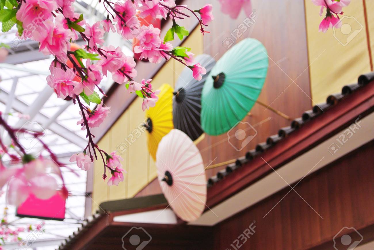 Sakura Blume Mit Holzernen Sonnenschirm Und Haus Hintergrund