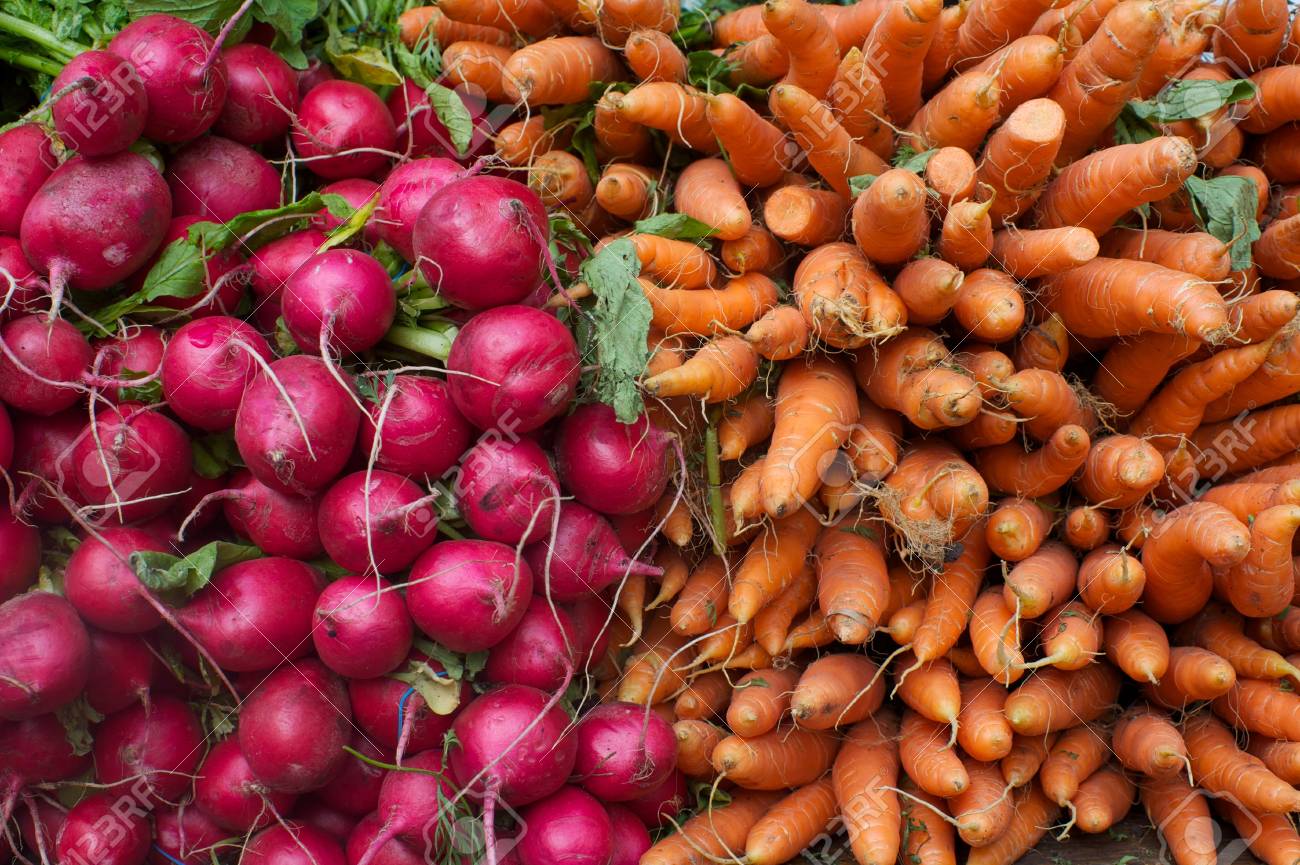 Imagenes De Rabano Vectores Fotos De Stock Y Psd Gratuitos