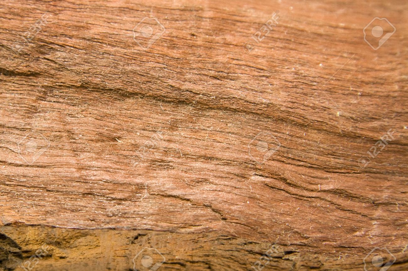 Quebrach 木材 絶滅危惧種の木 の繊維配向 の写真素材 画像素材 Image