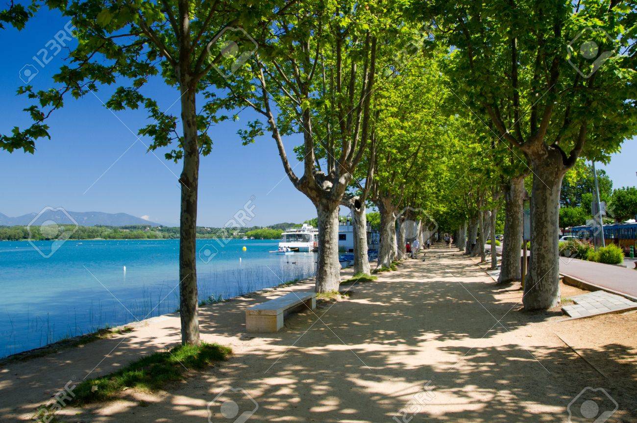 The alley of plane trees on the waterfront of Lake o Banyoles, Catalonia, Spain - 21003796 The alley of plane trees on the waterfront of Lake o Banyoles, Catalonia, Spain - 21003796
