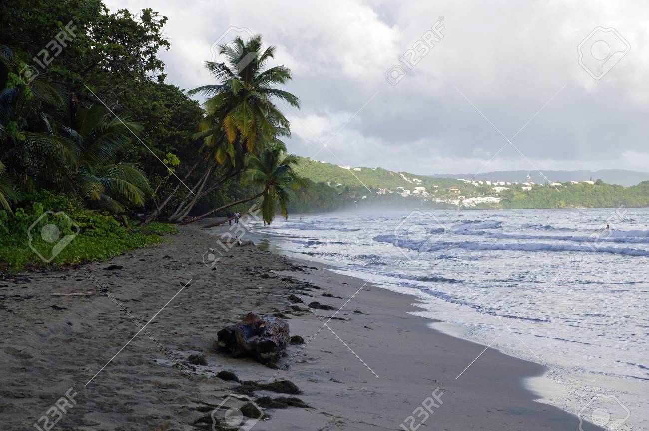 La Diamond Martinique France December 31 People Walk About The La Diamond Beach On December 31 2016 Martinique Island Lesser Antilles Stock Photo Picture And Royalty Free Image Image 80137302
