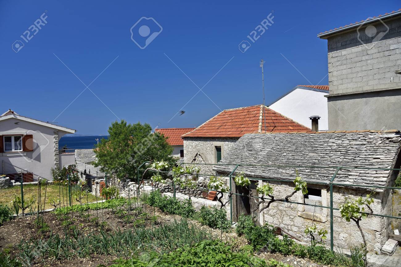 PRIMOSTEN, CROATIA - MAY 2, 2019 - Small house gardens and vineyards cultivated by inhabitants of famous and beautiful Primosten town in Dalmatia - popular tourist destination in Dalmatia. Croatia - 150570790 PRIMOSTEN, CROATIA - MAY 2, 2019 - Small house gardens and vineyards cultivated by inhabitants of famous and beautiful Primosten town in Dalmatia - popular tourist destination in Dalmatia. Croatia - 150570790
