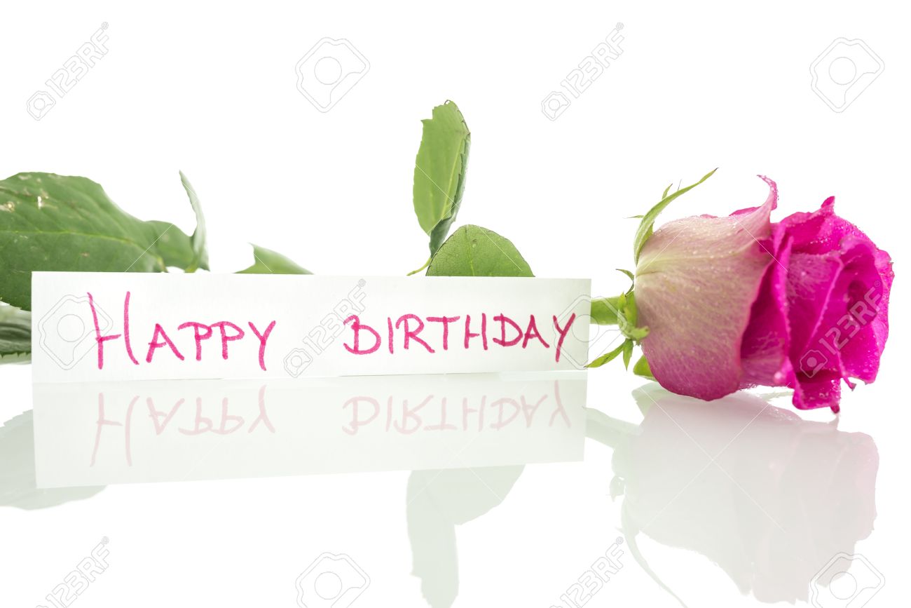 Happy Birthday Message Leaning On Beautiful Pink Rose Over White Background Stock Photo Picture And Royalty Free Image Image 22565246