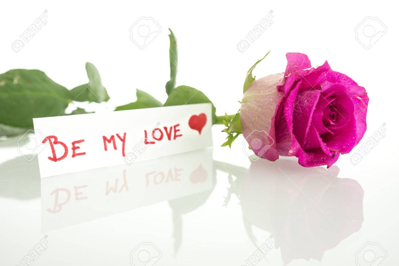 Pink Rose With Be My Love Message. Over White . Stock Photo ...