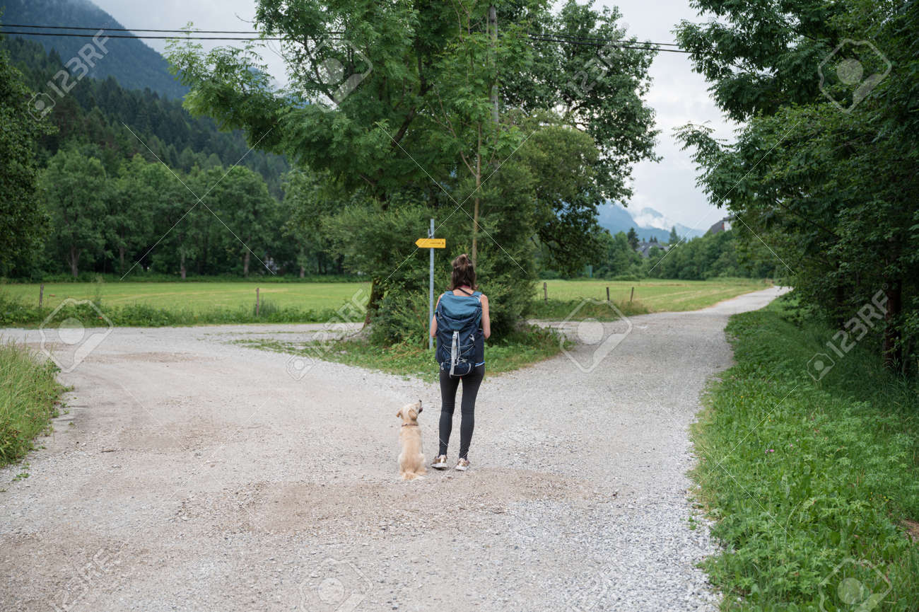 View from behind of a young woman with her dog standing at a crossing of trails in beautiful green summer nature, deciding which way to go. - 171620063 View from behind of a young woman with her dog standing at a crossing of trails in beautiful green summer nature, deciding which way to go. - 171620063