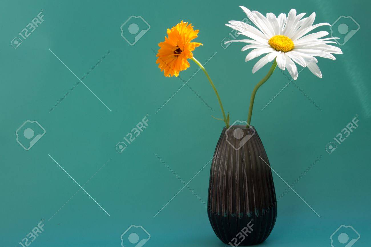キンセンカと中立的な緑の背景の上に花瓶のカモミール 光り輝き美しいオレンジ色の花 の写真素材 画像素材 Image