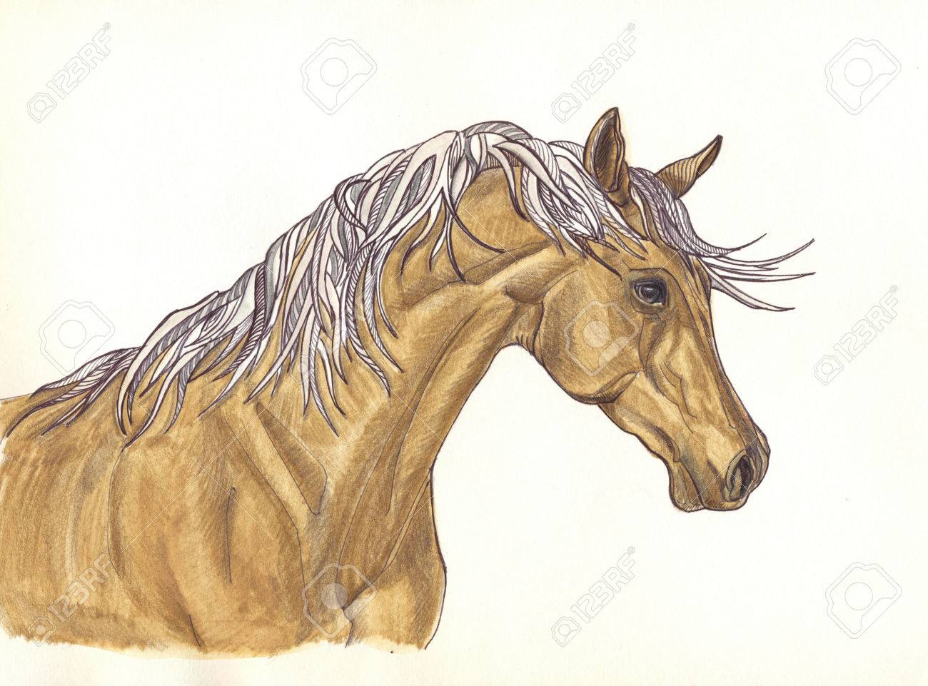 A Beautiful Horse With Mane Of Decorative Design Painted With