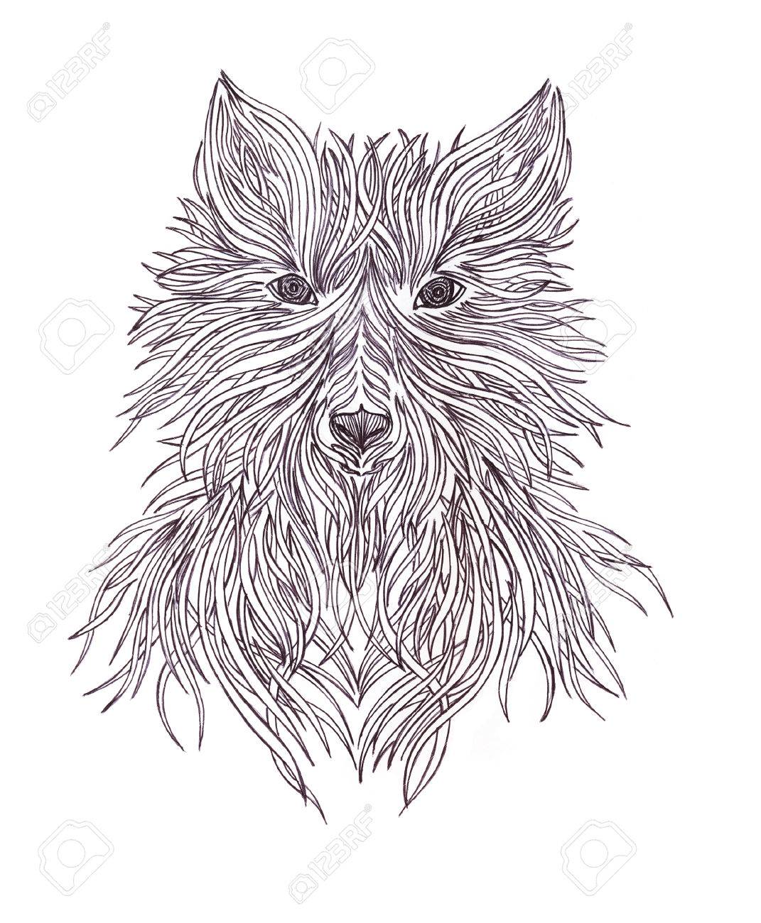 頭は狼野生肉食動物です 手作りの黒と白のグラフィック 描画するペン の写真素材 画像素材 Image
