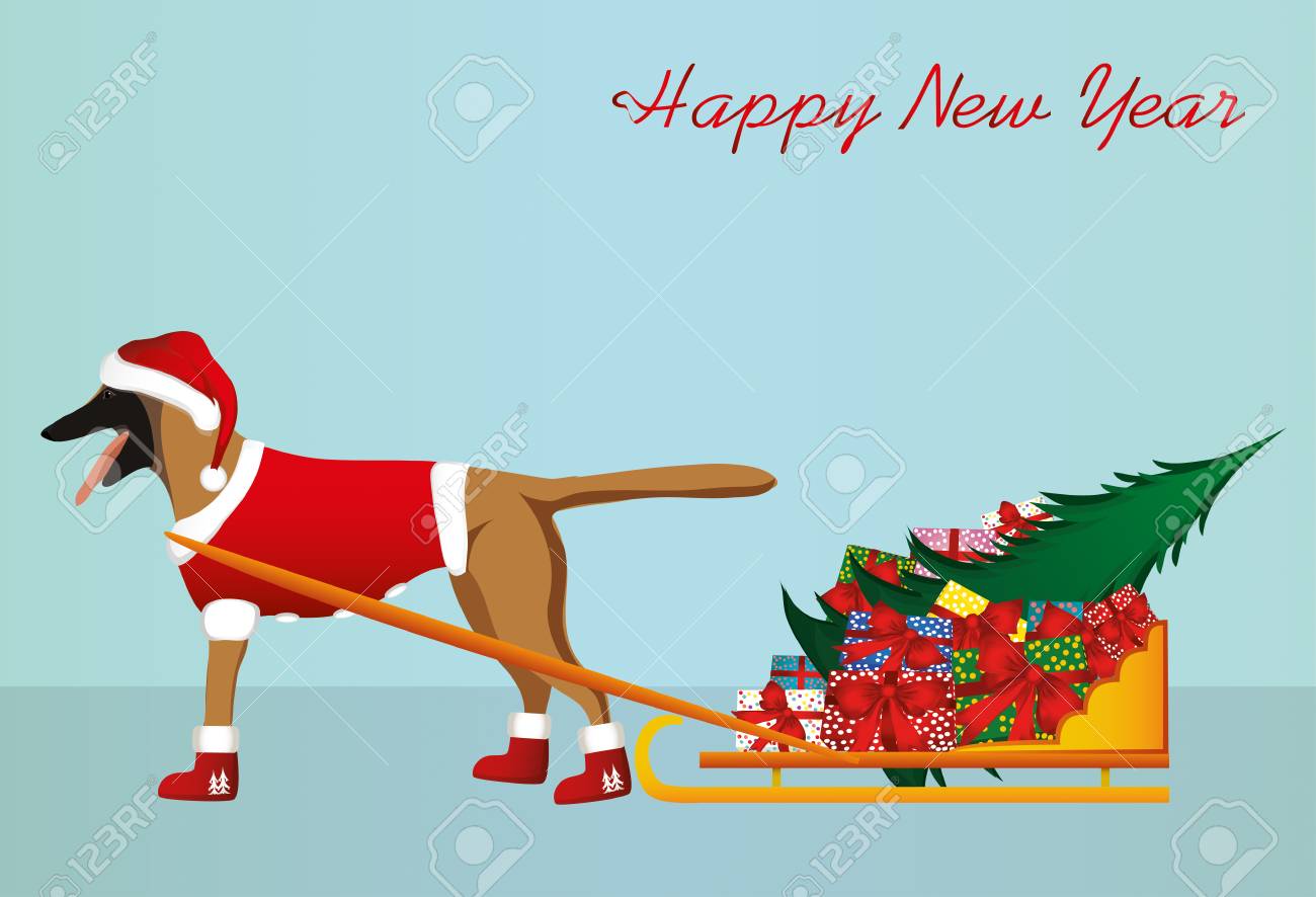 Un Chien Dans Un Chapeau De Pere Noel Porte Un Traineau Avec Des Cadeaux Et Un Arbre De Noel Pour Les Vacances De Noel Berger Malinois Vecteur Carte De Voeux Ou Invitation