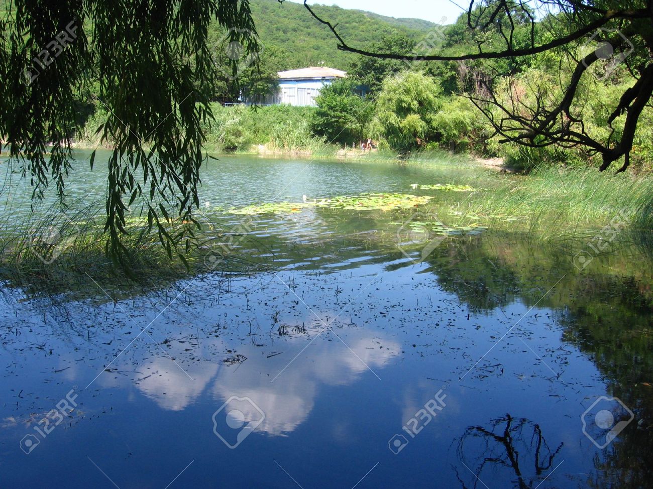 Spiegelung Blauer Himmel Und Weisse Wolken In Bergsee Seerose