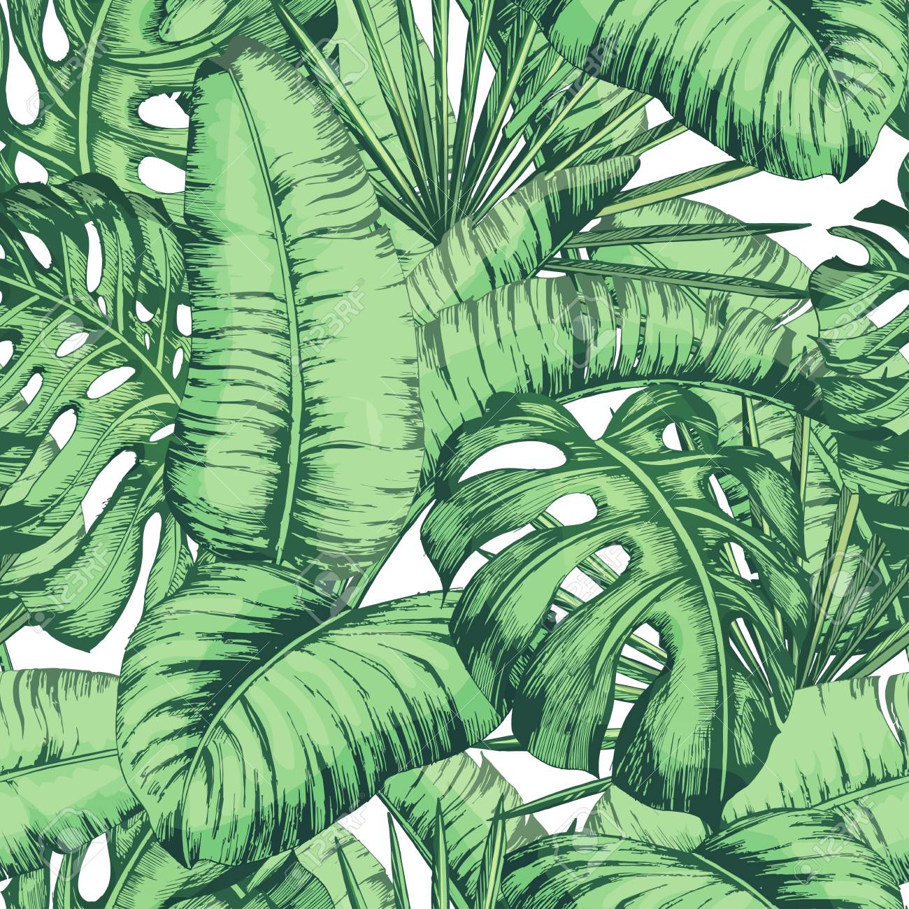 Seamless Tropical Leaves Pattern For Fashion Textile Black Line Royalty Free Cliparts Vectors And Stock Illustration Image
