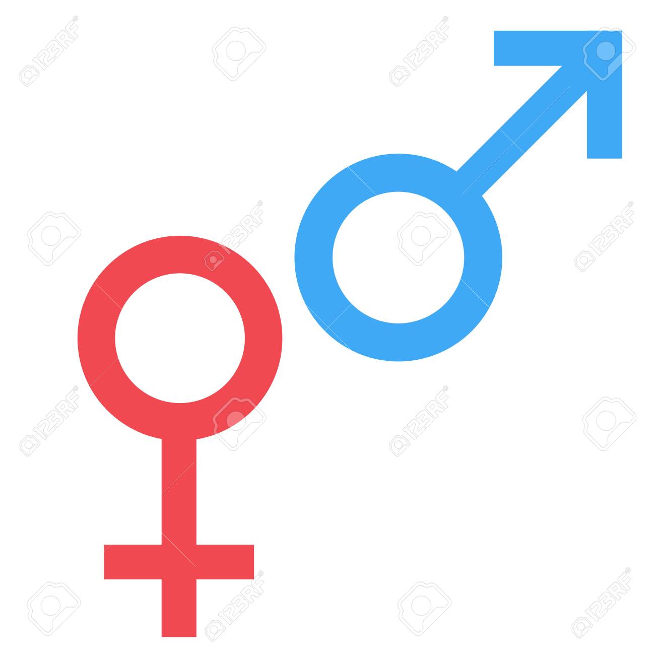 la sexualidad femenina y masculina la sexualidad femenina y masculina