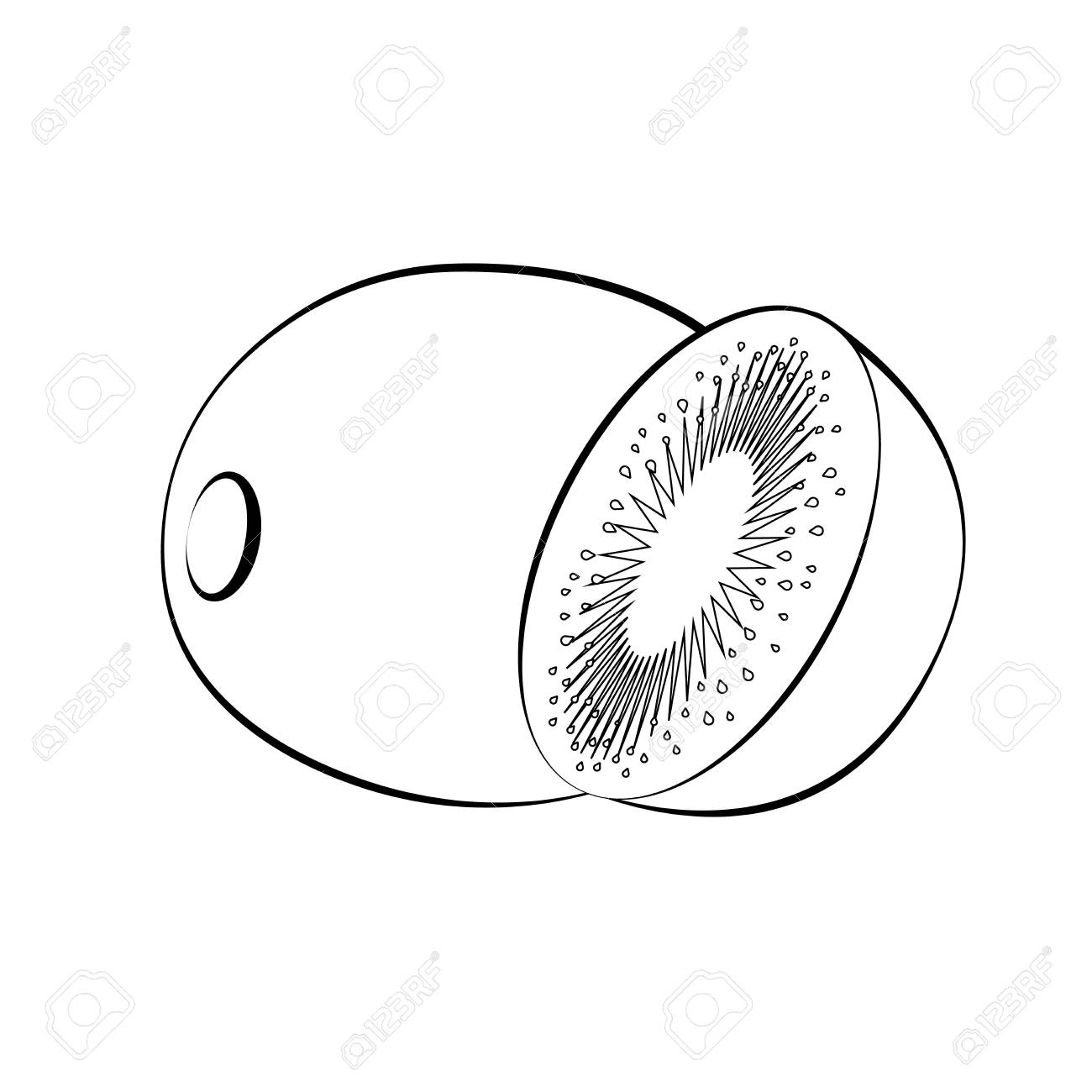 Flat Icon Kiwi And Slice Of Kiwi. White With Black Stroke. Kiwi Silhouette.  Vector Illustration. Royalty Free SVG, Cliparts, Vectors, and Stock  Illustration. Image 80786588., image size:1300x1300
