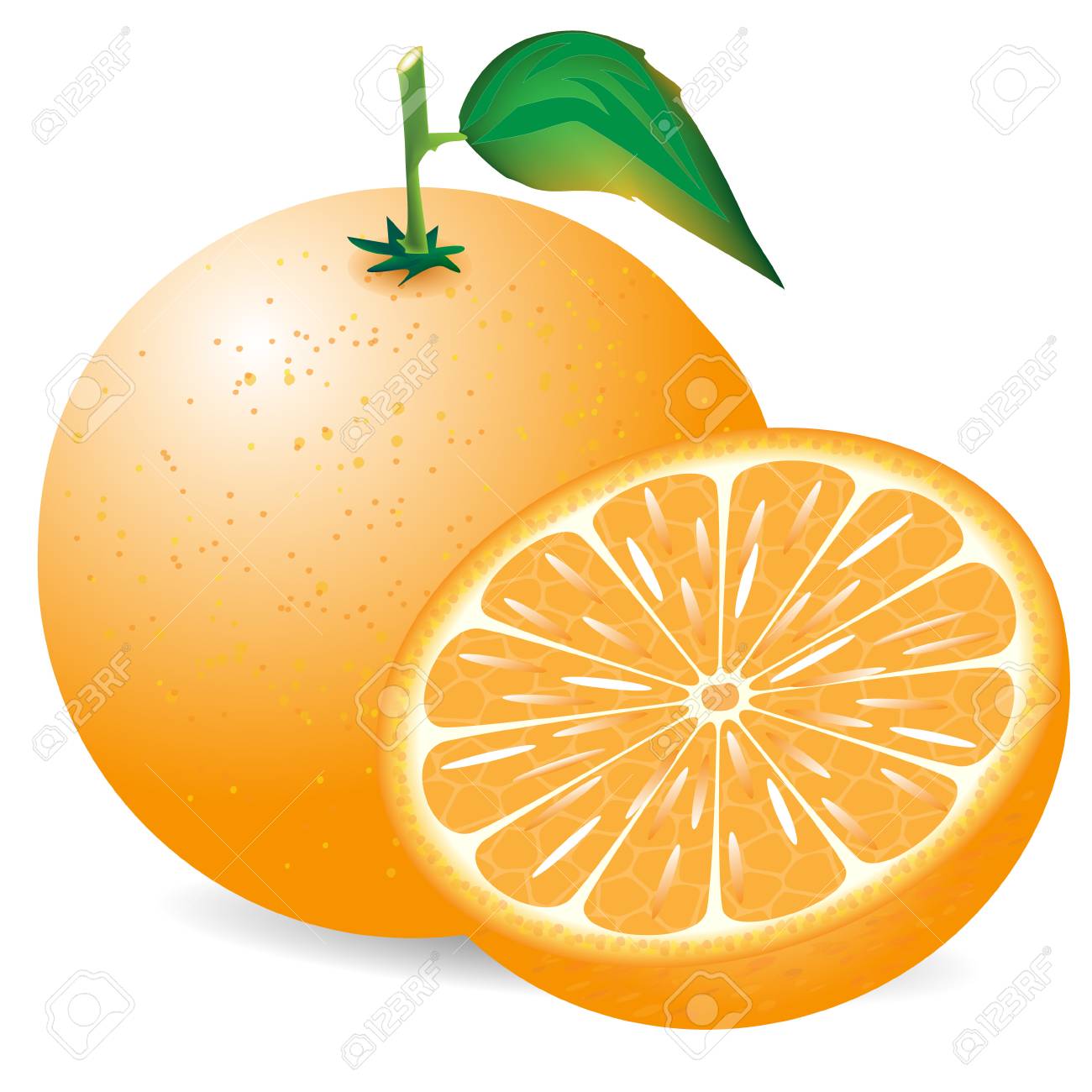 Composition Of The Orange On White Background Royalty Free