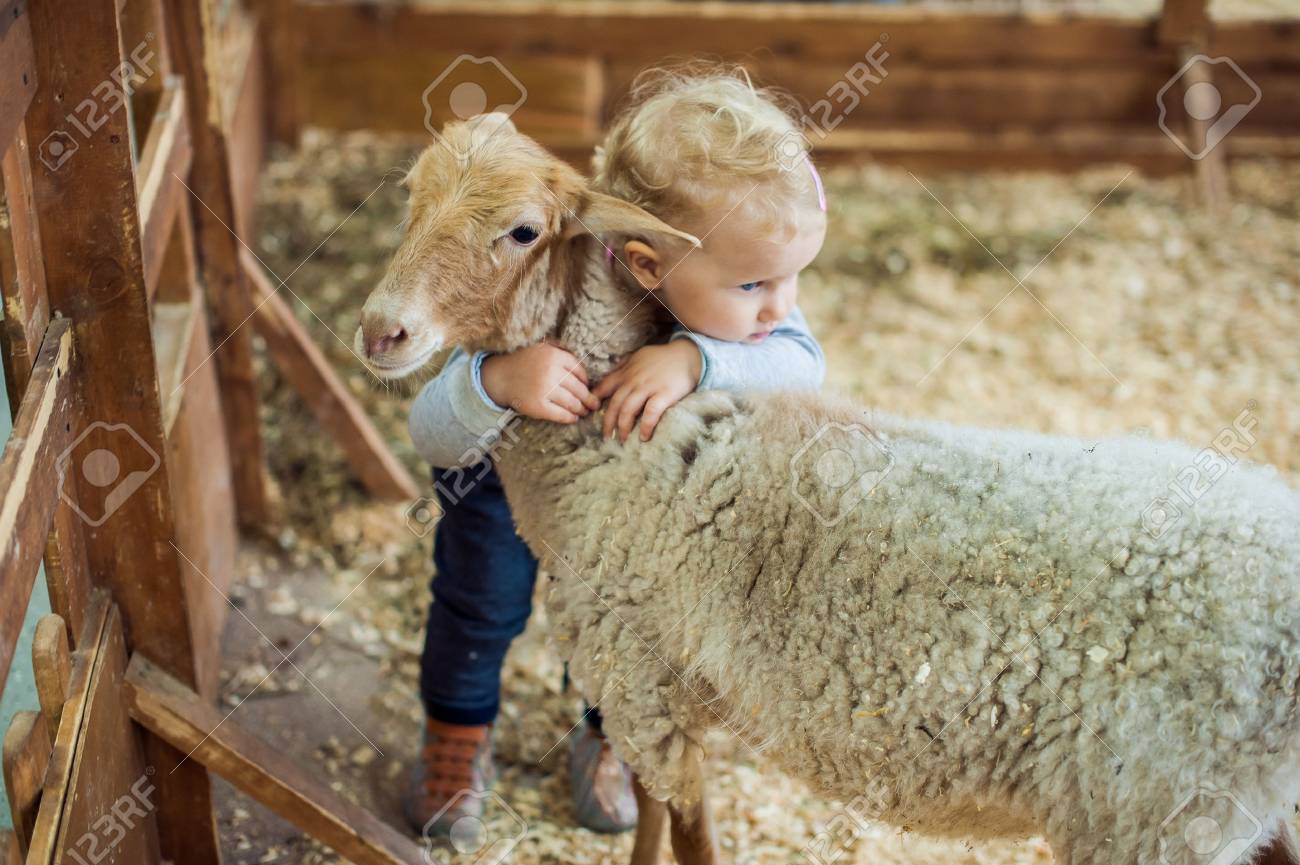 Toddler Girl hugging lamb on the farm - 61691116 Toddler Girl hugging lamb on the farm - 61691116