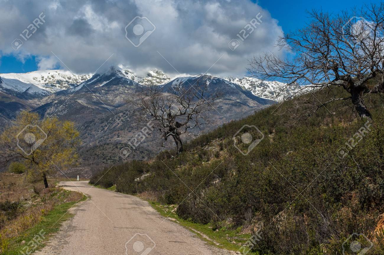THE COMMUNITY OF GEHLOUR
