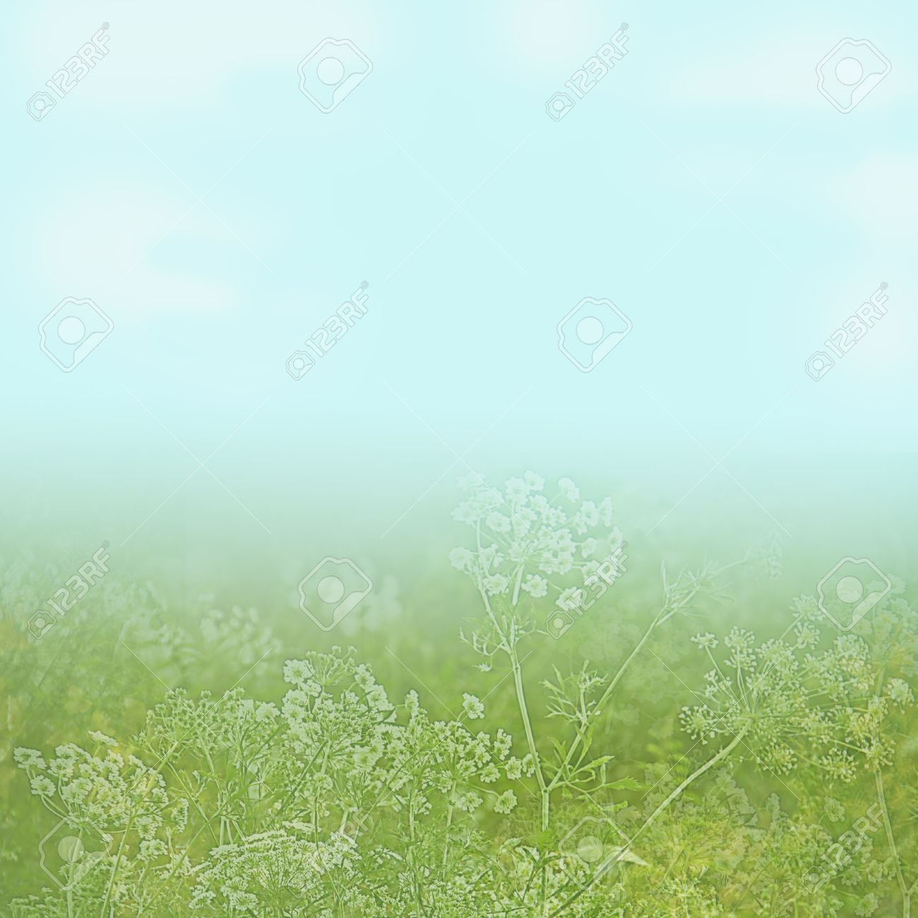 faded background image