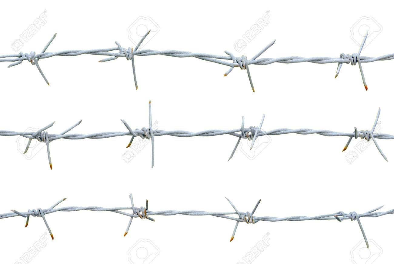 Rusty barbed wire isolated on white background. - 32500388 Rusty barbed wire isolated on white background. - 32500388