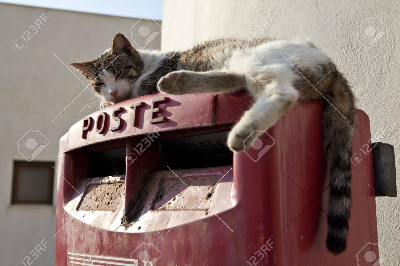 Un Chat Sur Une Boite Aux Lettres En Sicile Italie Banque D Images Et Photos Libres De Droits Image