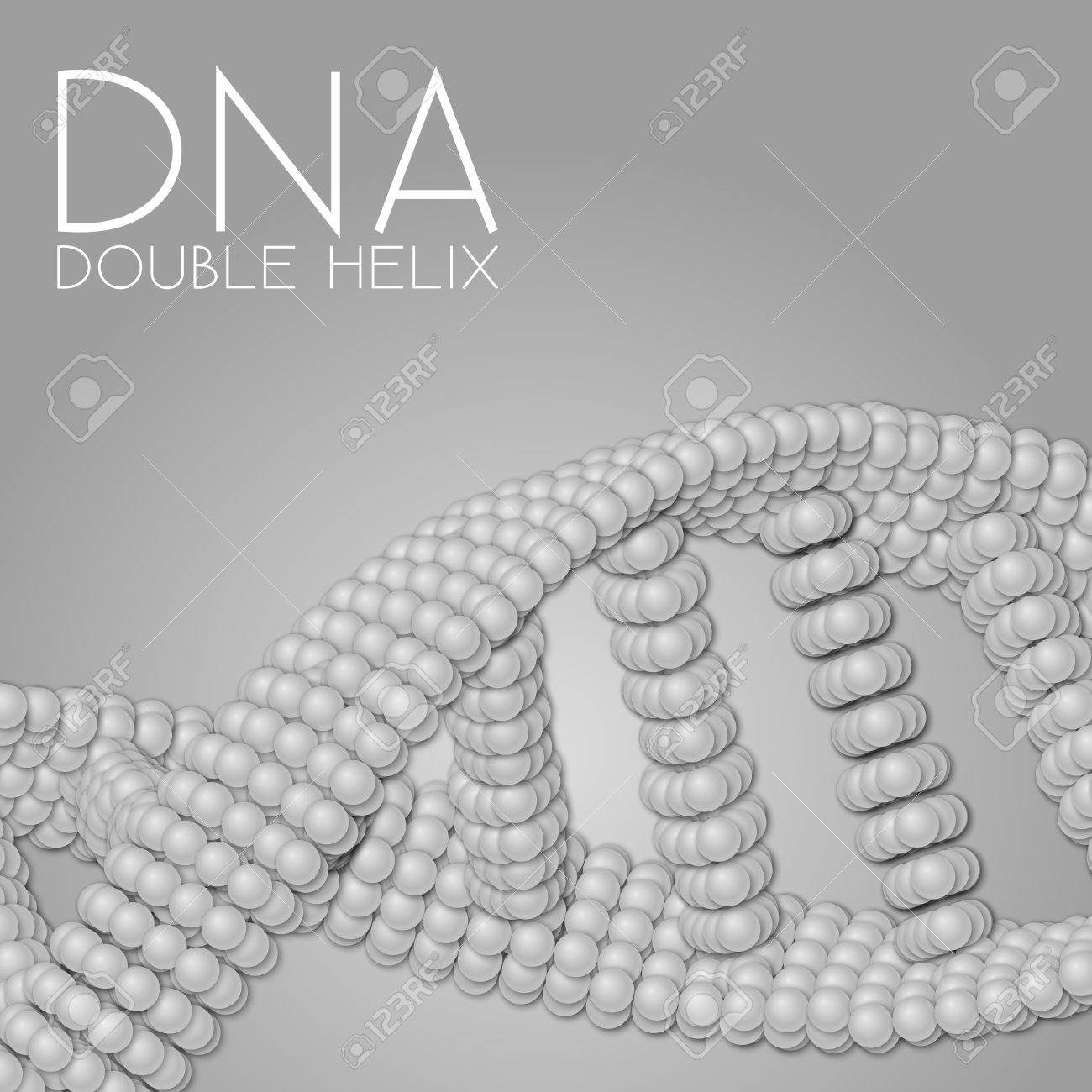 らせんの形で自然な影の球のチェーン 抽象的な幾何学的な背景 蛋白質の鎖または Dna の螺旋形 のイラスト素材 ベクタ Image
