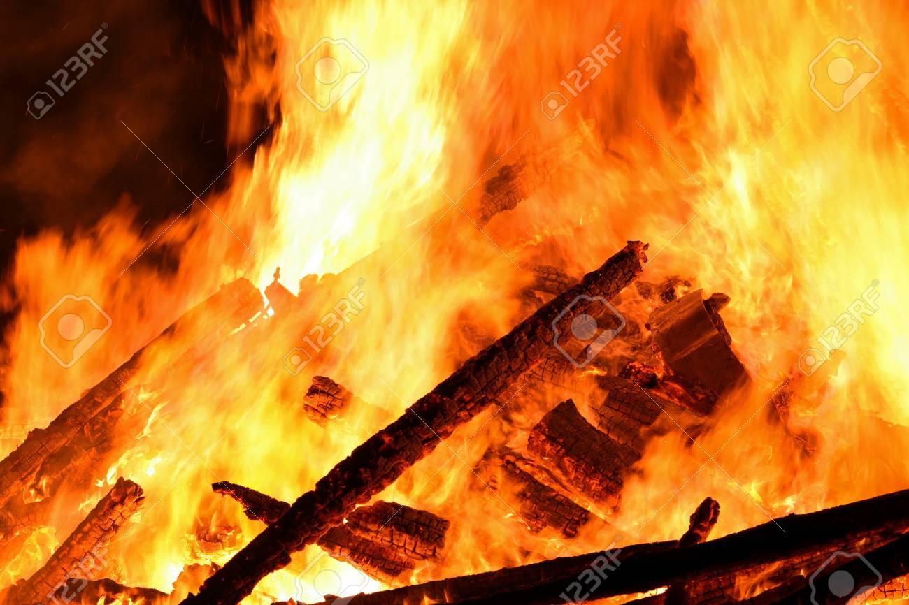 etiam-dictum-ipsum-a-felis