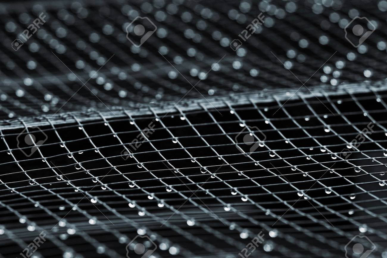 etiam-dictum-ipsum-a-felis