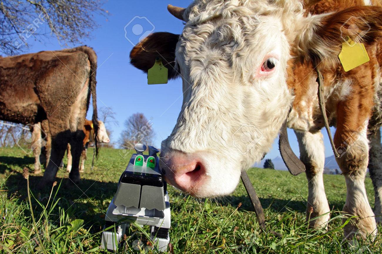 robot cow toy