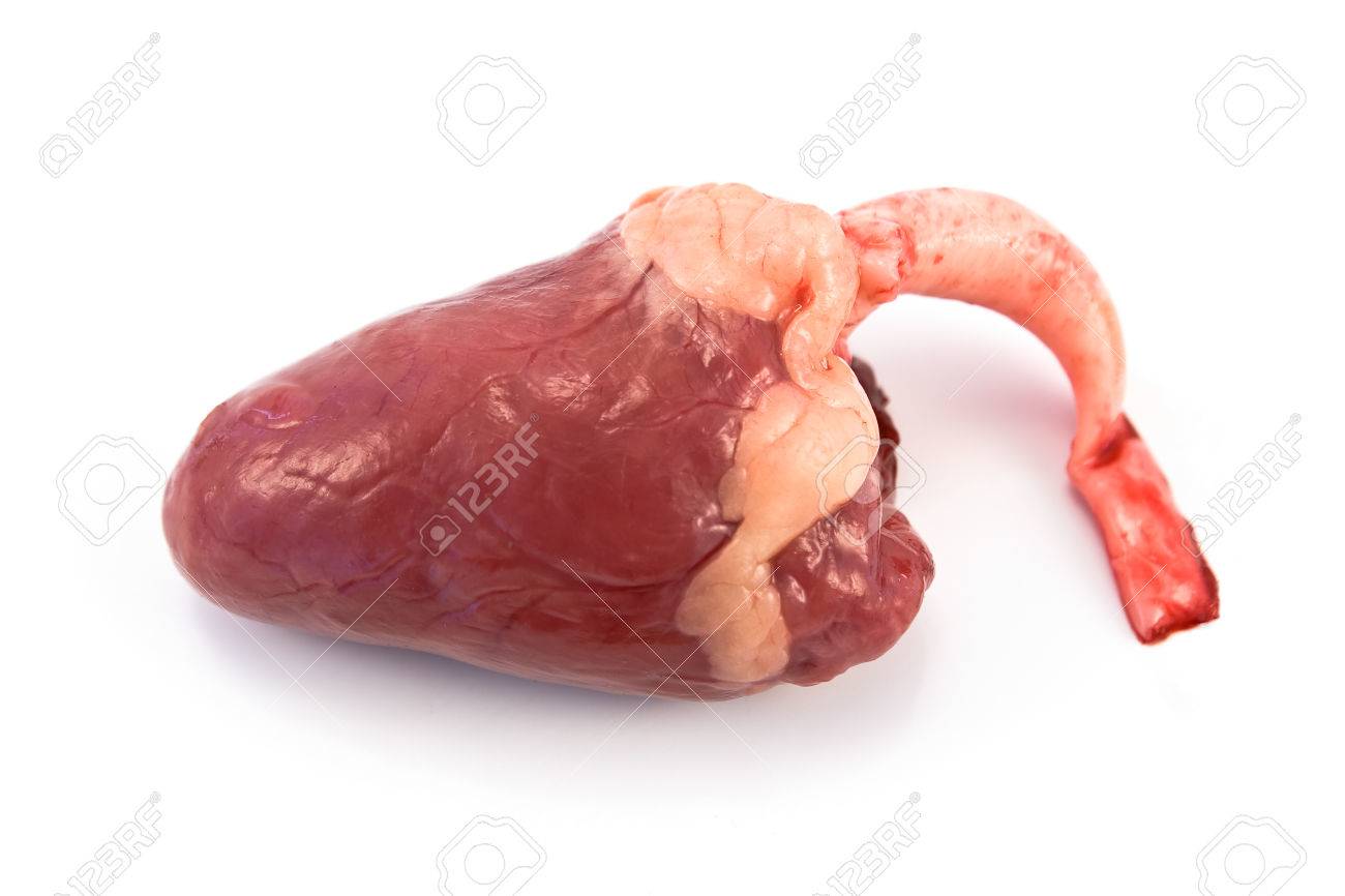 Rauwe Kip Hart Op Wit Wordt Geisoleerd Royalty Vrije Foto Plaatjes Beelden En Stock Fotografie Image 26896246