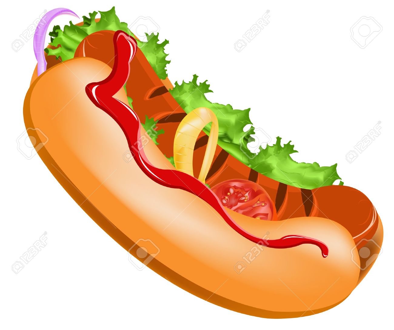 Delicious hot dog on a white background Vector - 18344946 Delicious hot dog on a white background Vector - 18344946