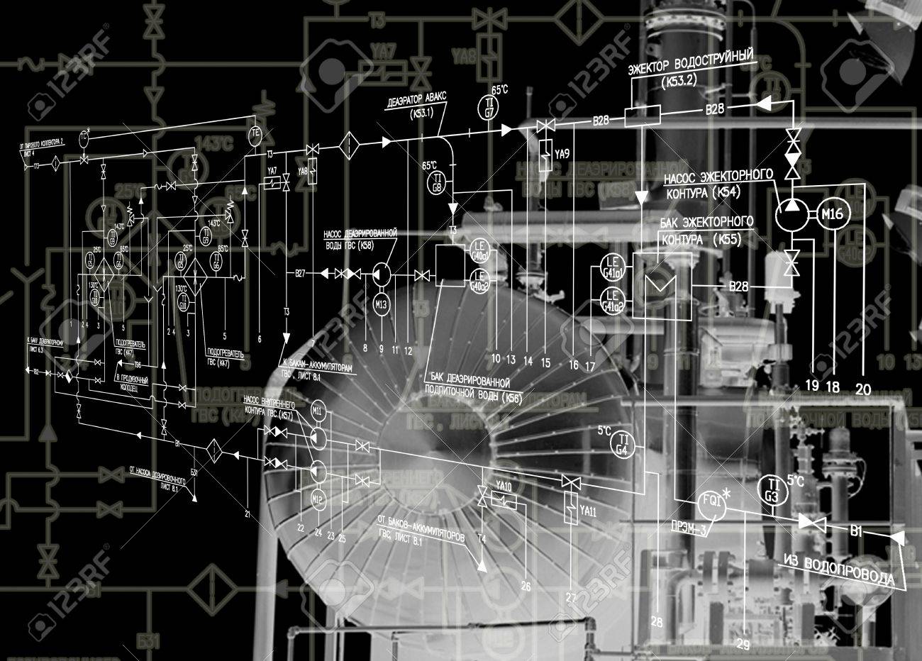 etiam-dictum-ipsum-a-felis