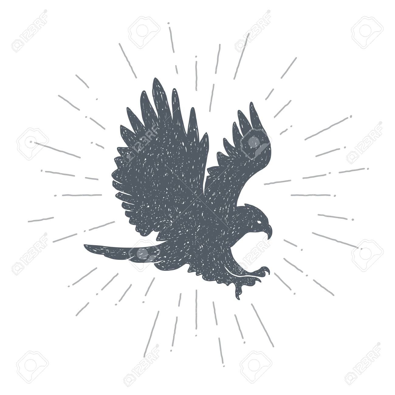 predator blanco y negro