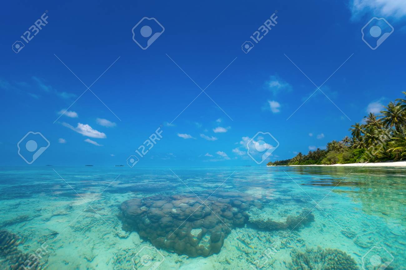 Parfait Plage Tropicale île Paradisiaque