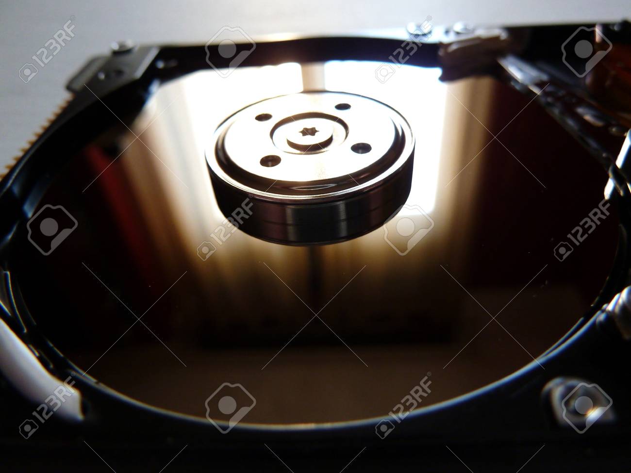 etiam-dictum-ipsum-a-felis