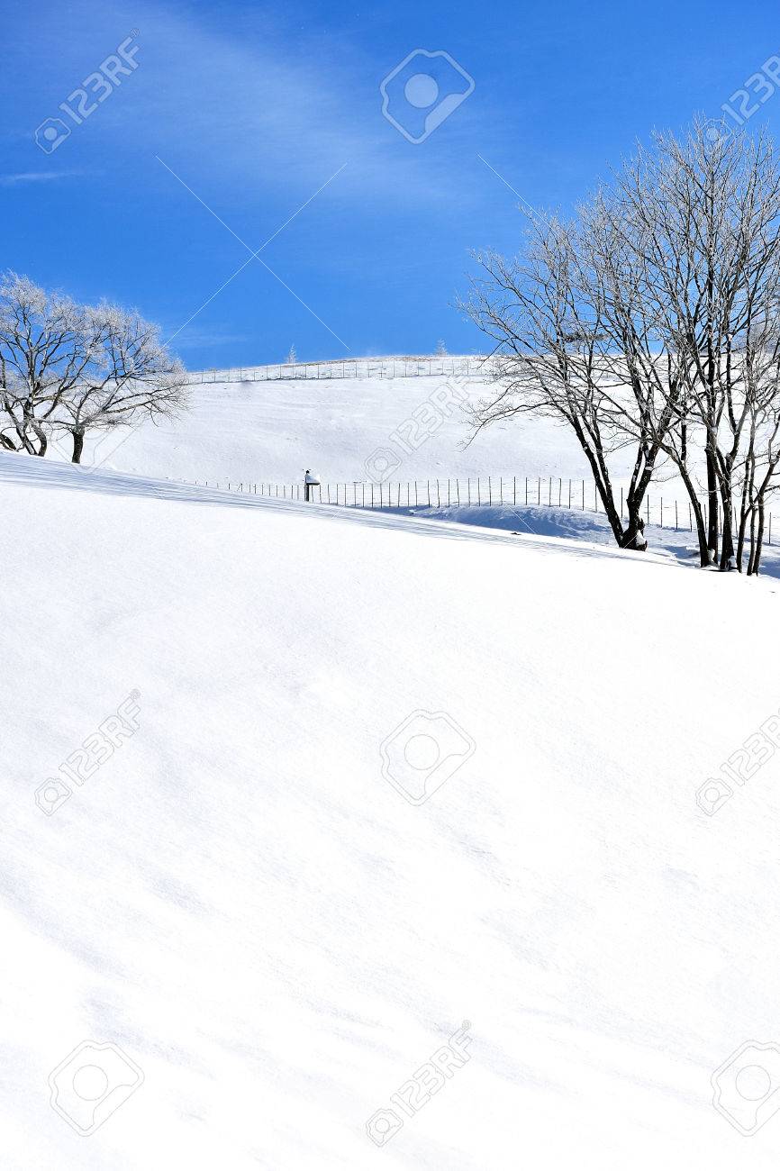 雪のシーン きれいで美しい雪の風景 の写真素材 画像素材 Image 雪のシーン きれいで美しい雪の風景 の写真素材 画像素材 Image