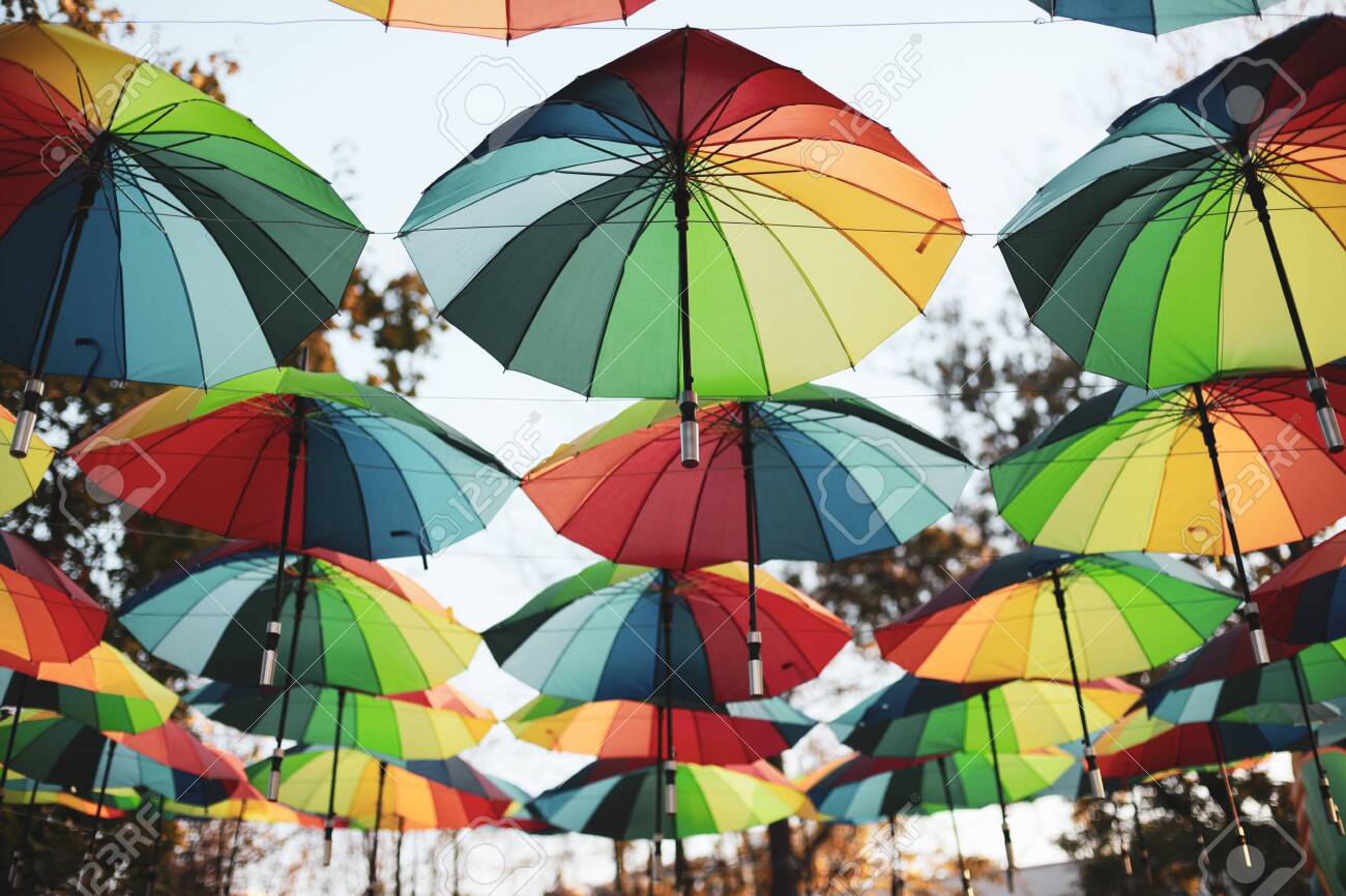 Rainbow colored umbrellas hang in a public park - 133307574 Rainbow colored umbrellas hang in a public park - 133307574