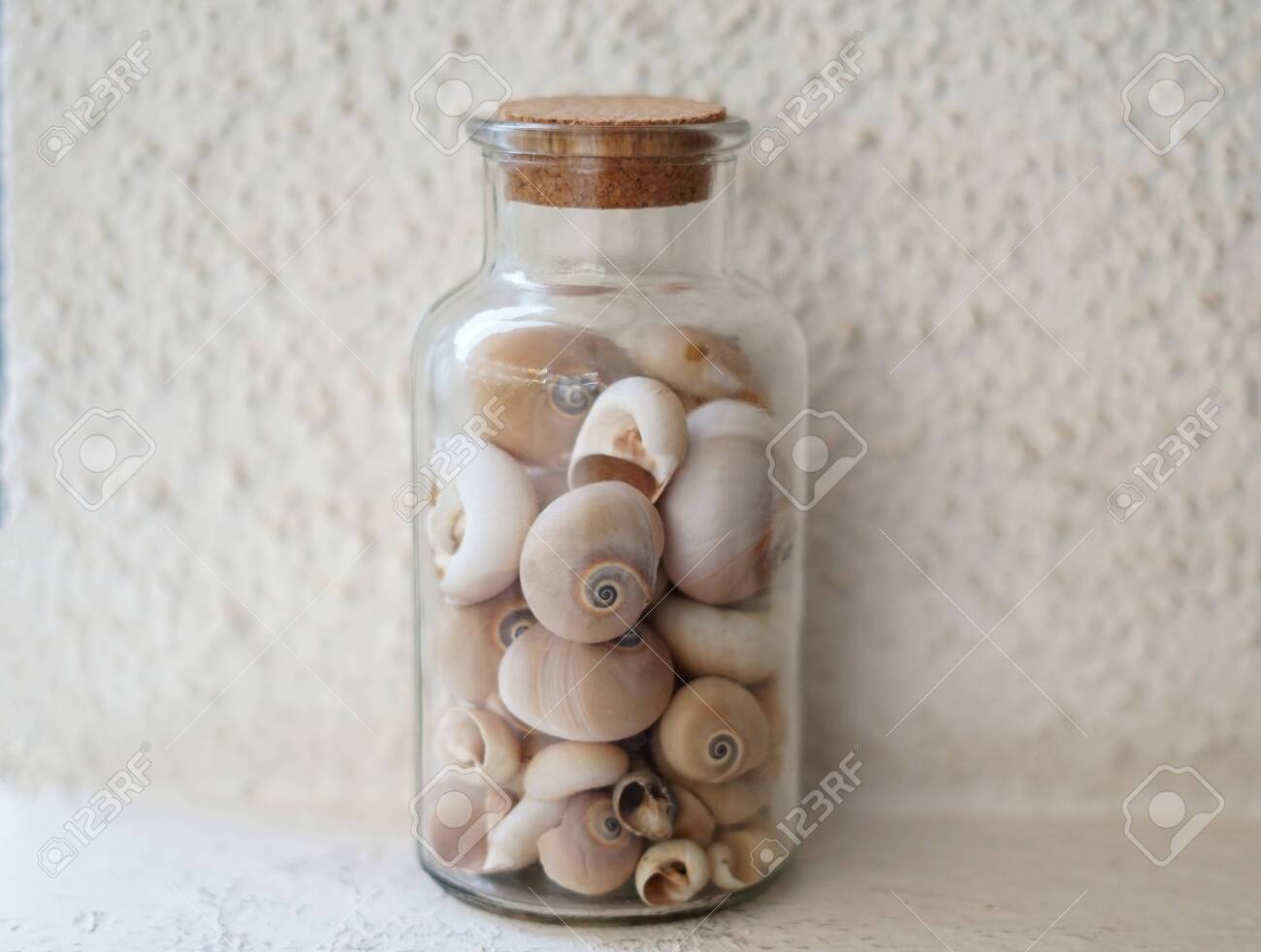 Beautiful Bottle Filled With Assorted Of Sea Snail Shells Glass Jar With Cork Stopper For Decoration Collections Of Shells Ocean And Coast Concept Stock Photo Picture And Royalty Free Image Image 151407886