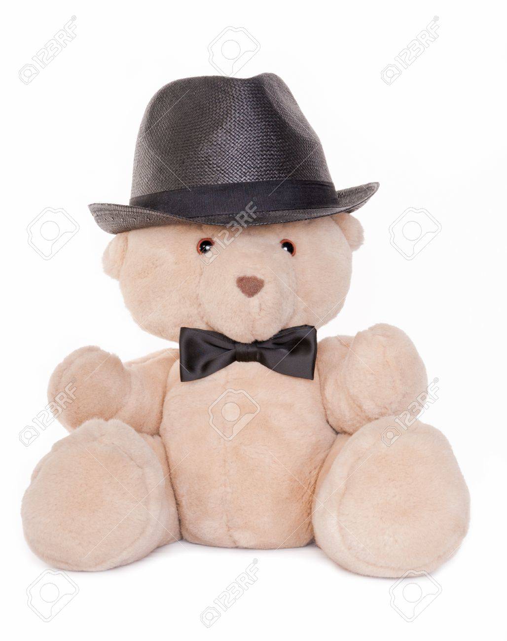 teddy bear with hat
