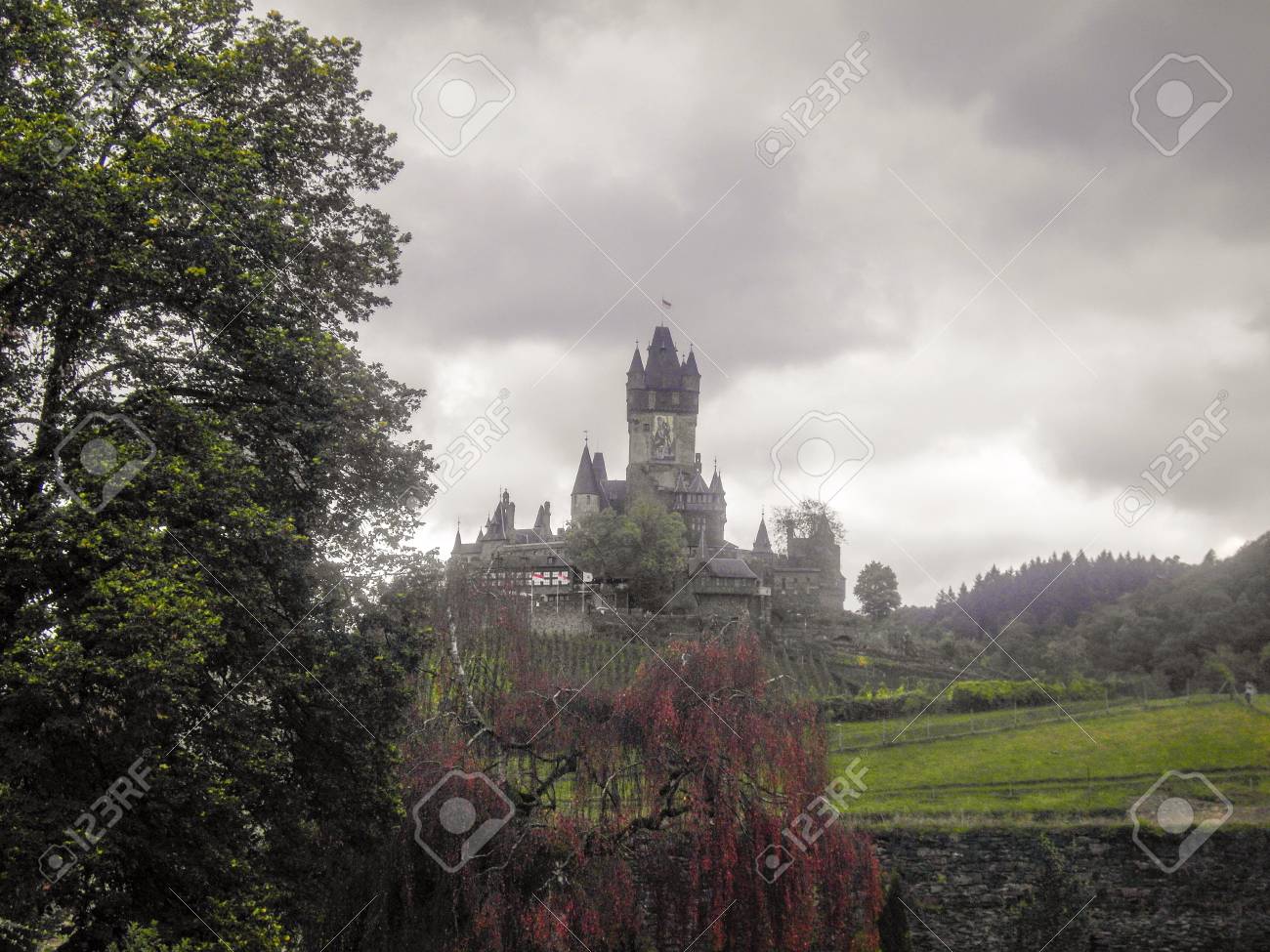 etiam-dictum-ipsum-a-felis