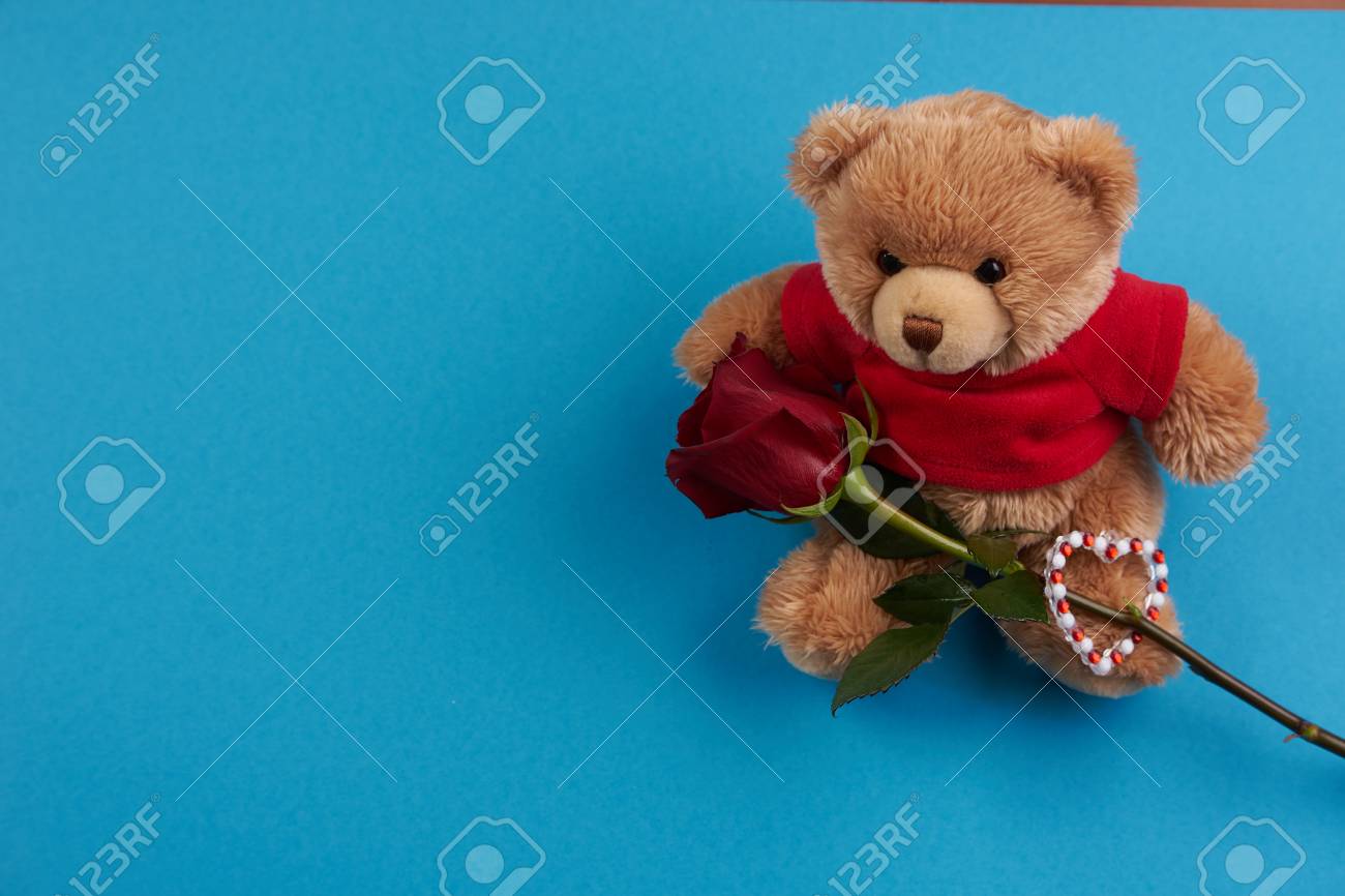 blue flower teddy bear