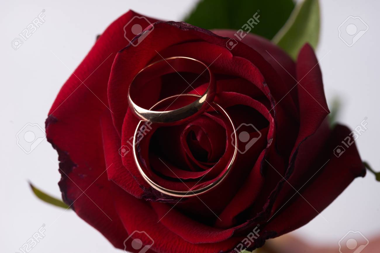 Closeup Of A Beautiful Romantic Red Rose With Two Wedding Gold