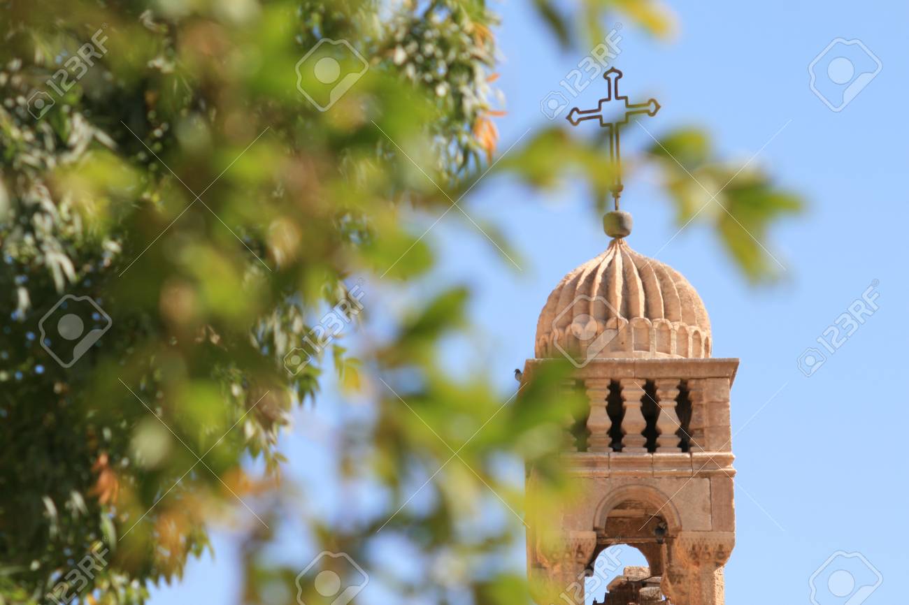 etiam-dictum-ipsum-a-felis