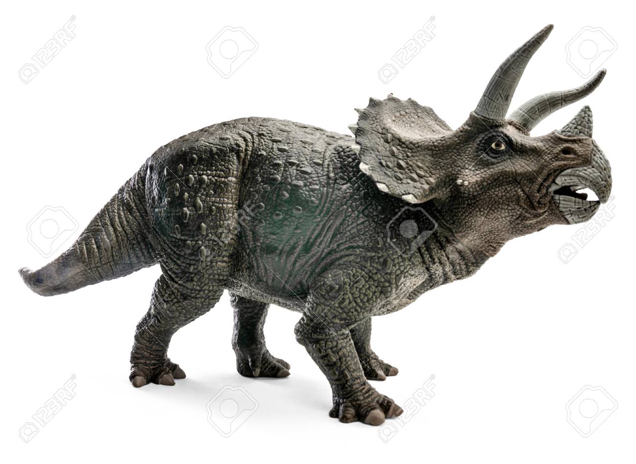wide view of triceratops dinosaurs toy isolated on white background
