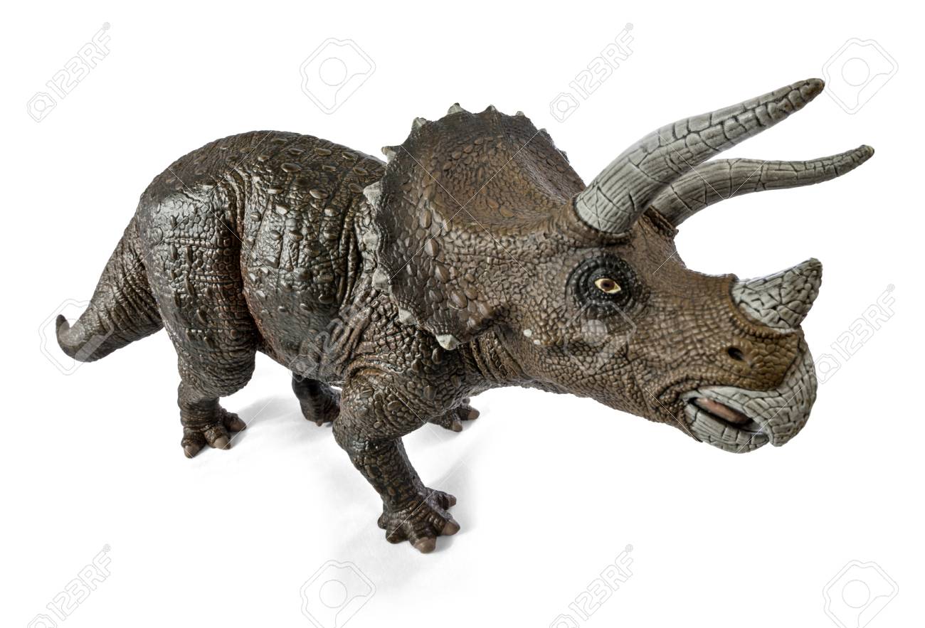 wide view of triceratops dinosaurs toy isolated on white background
