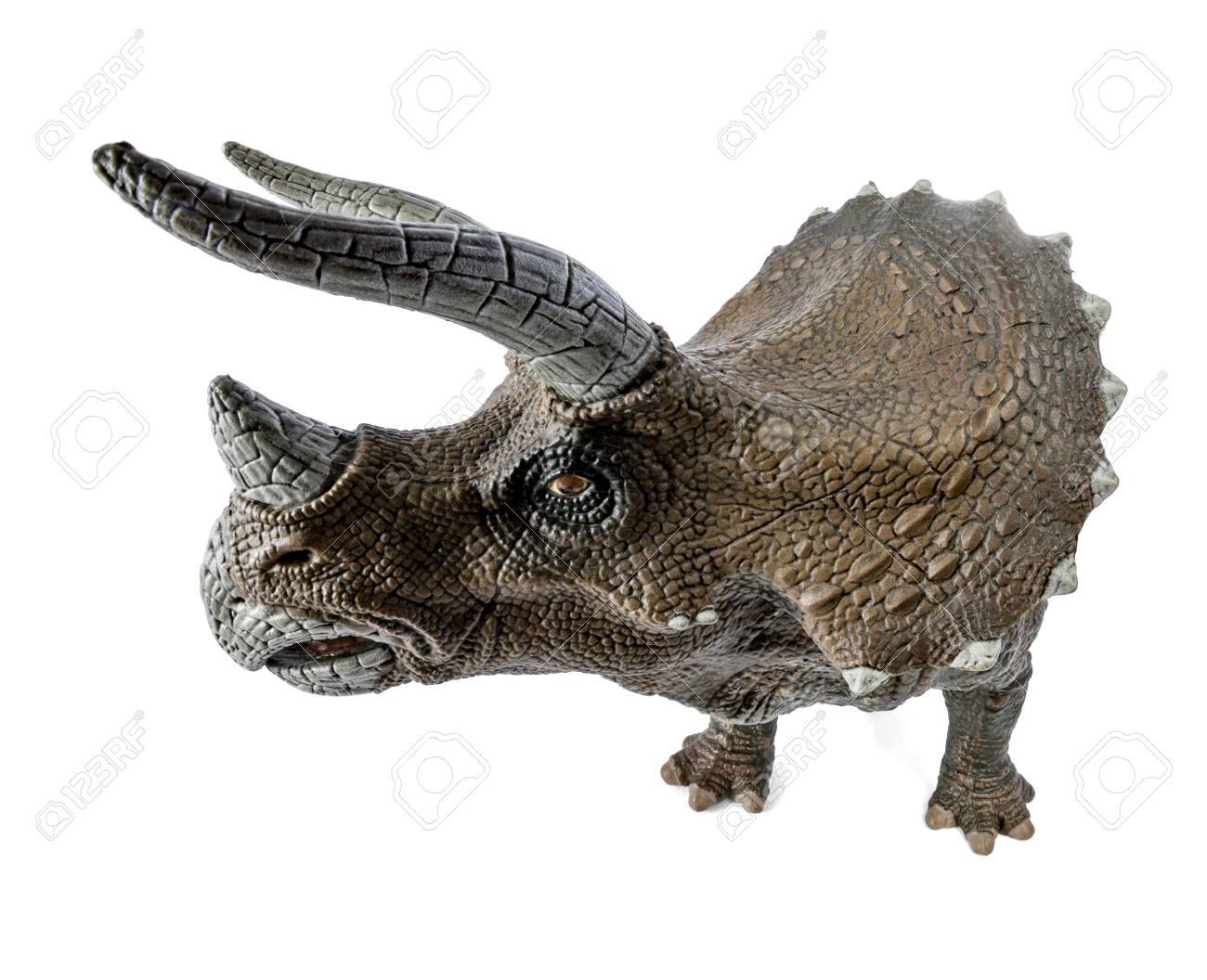 wide view of triceratops dinosaurs toy isolated on white background