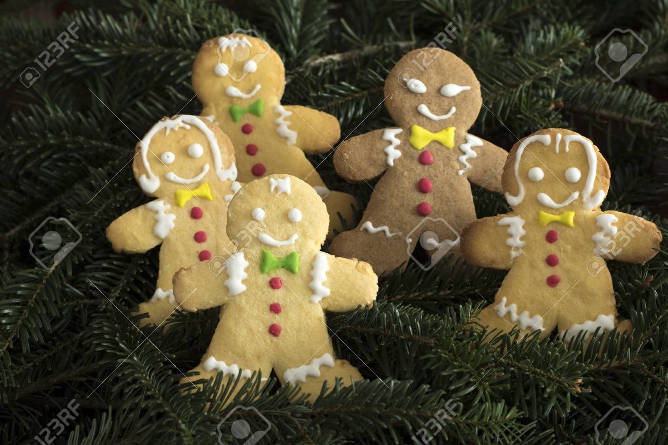 Group Of Funny Gingerbread Boys And Girls On Christmas Tree Stock Photo Group Of Funny Gingerbread Boys And Girls On Christmas Tree Stock Photo